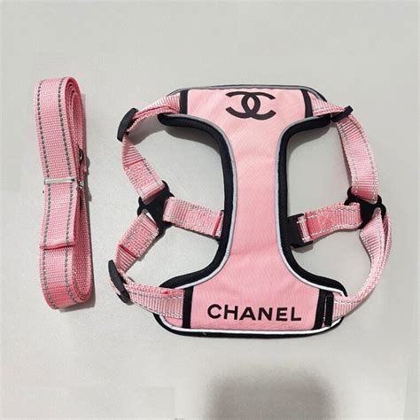 chanel dog accessories|chanel accessories list.